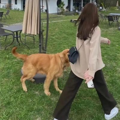 美丽的时节